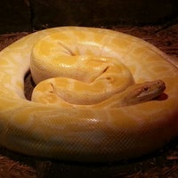 Hoffer's Tropic Life Pet Center (Now Closed) - Pet Store ...
