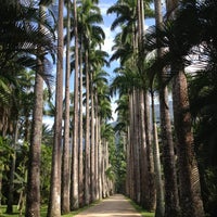 Photo taken at Jardim Botânico do Rio de Janeiro by Henri M. B. on 4/27/2013