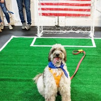 6/17/2018 tarihinde M23ziyaretçi tarafından D Pet Hotels'de çekilen fotoğraf