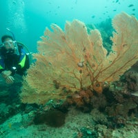 Das Foto wurde bei Eco Dive von Eco Dive am 12/14/2013 aufgenommen