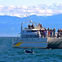 Foto diambil di Eagle Wing Whale &amp;amp; Wildlife Watching Tours oleh Eagle Wing Whale &amp;amp; Wildlife Watching Tours pada 1/19/2016