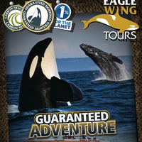 Das Foto wurde bei Eagle Wing Whale &amp;amp; Wildlife Watching Tours von Eagle Wing Whale &amp;amp; Wildlife Watching Tours am 1/19/2016 aufgenommen