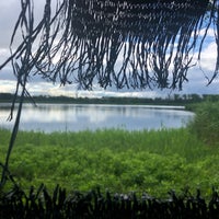 弥富野鳥園 Nature Preserve In 弥富市 弥富野鳥園 Nature Preserve In 弥富市