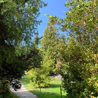 Alter Botanischer Garten Park in Zürich