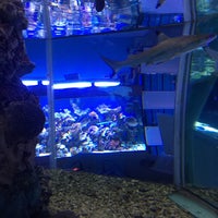 Photo taken at Морской аквариум by Pavel on 1/10/2016