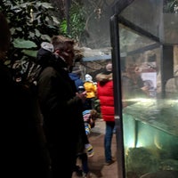Photo taken at Regenstein Small Mammal &amp; Reptile House by Jenna N. on 12/31/2019