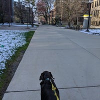 Photo taken at University of Michigan by Jenna N. on 4/18/2020
