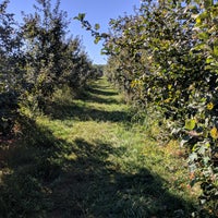รูปภาพถ่ายที่ Wilson&amp;#39;s Apple Orchard โดย Jenna N. เมื่อ 9/15/2018