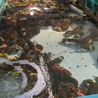 Foto tirada no(a) Ogunquit Lobster Pound Restaurant por Thibaut C. em 9/18/2020