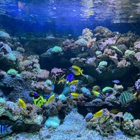 Photo taken at Ocean Dream Samudra (Gelanggang Samudera Ancol) by ♡ Donna ♡. on 12/29/2022