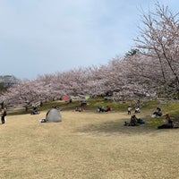 Photo taken at 大乗寺丘陵公園 by BerGump on 4/7/2024