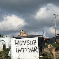 Beykoz Belediyesi Kopek Barinagi Ogumce De Hayvan Barinagi