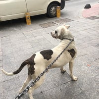 Photo taken at Tokyo Restaurant &amp;amp; Sushi Bar by İatanbul’dan Birkaç Günlüğüne Geldim on 1/24/2017