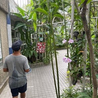 Photo taken at Bangkok Butterfly Garden and Insectarium by Marlon S. on 12/8/2022
