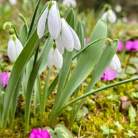 Photo taken at Botanischer Garten by Daniel S. on 2/10/2024