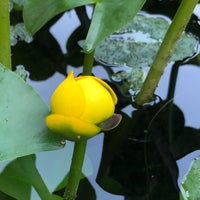 Photo taken at Botanischer Garten by Daniel S. on 8/15/2022