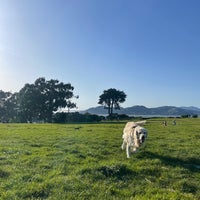 Photo taken at Fort Mason Great Meadow by Kadi B. on 3/9/2024