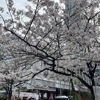 Photo taken at Hachiko Square by 24guchi on 4/6/2024