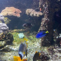 Photo taken at Haus des Meeres  - Aqua Terra Zoo by Ruslana L. on 1/25/2024