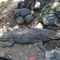 Photo taken at Bali Reptile Park by Света К. on 4/29/2016
