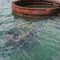 Photo taken at USS Arizona Memorial by Mike D. on 7/30/2023