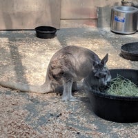 Photo taken at Wallaby Exhibit by Mike D. on 8/2/2019