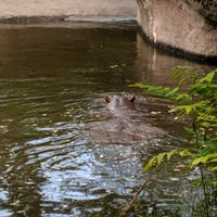 Photo taken at Hippo Pool by Mike D. on 8/2/2019