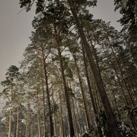 Photo taken at Druskininkai by RONI! 🕊 on 1/29/2023