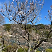 Photo taken at Yakushiike Park by Hidenori S. on 3/9/2024