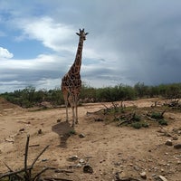 Photo taken at Out of Africa by Dan B. on 8/26/2018