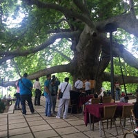 Photo taken at Tarihi Doğu Çınarı by ismail P. on 6/12/2015