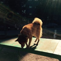 Photo taken at Площадка выгула собак by Yuliana A. on 8/8/2016