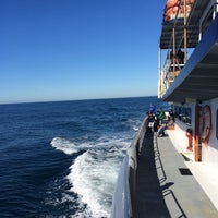 Photo taken at San Diego Whale Watch by Tristan G. on 12/4/2016