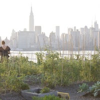 Photo taken at Eagle Street Rooftop Farms by Time Out New York on 5/6/2015