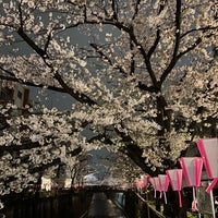 Photo taken at 中目黒の桜 by Tom I. on 4/5/2024