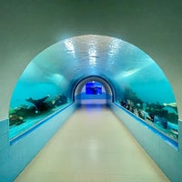 Photo taken at Samutsakhon Marine Aquarium by 🍀Ebi🍁 on 10/27/2023