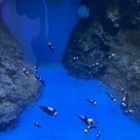 Photo taken at Samutsakhon Marine Aquarium by 🍀Ebi🍁 on 10/27/2023