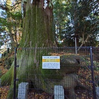 Photo taken at Takosugi (Octopus Cedar) by 秋雄 玉. on 12/13/2023