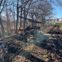 Photo taken at Isonuma Milk Farm by Nagi on 1/1/2023