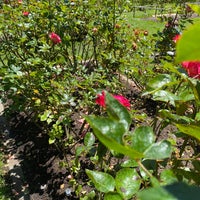 Photo taken at Rose Garden by Leili T. on 7/10/2022