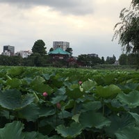 Photo taken at 蓮池 by ガメゴジラ on 7/27/2016