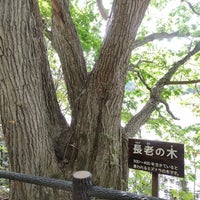 Photo taken at 西岡公園 by 麺タンピン ド. on 10/9/2022