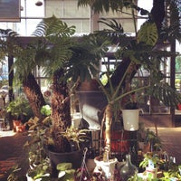 平田ナーセリー 福岡西区小戸店villaggio Garden Center In 福岡市