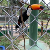 Photo taken at Zoológico do CIGS by Diego D. on 9/28/2019