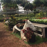 Hashimoto Nursery Garden Center In Los Angeles Photo Taken At Hashimoto Nursery By Jocelyn Z On 4 12 2018