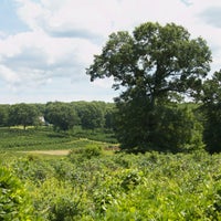 8/13/2014にMaple Lane FarmsがMaple Lane Farmsで撮った写真