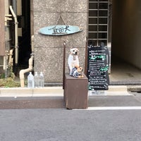 Live Garage 秋田犬 1 Dica De 170 Clientes
