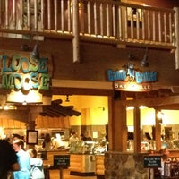 The Loose Moose Cottage At Great Wolf Lodge 13 Tips