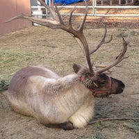 Photo taken at Reindeer by Kristin V. on 12/9/2012