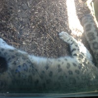 Photo taken at Snow Leopard by Kristin V. on 5/14/2013
